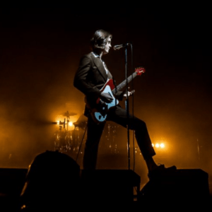 Blossoms at Victoria Warehouse